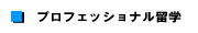 ���E�v���t�F�b�V���i�����w��