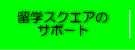 サポート内容