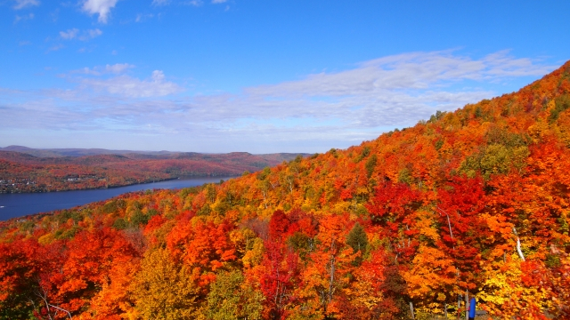 カナダの秋の気候の特徴