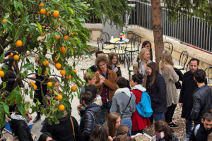 フランスラング・ニース