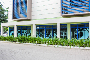 学校の外側から