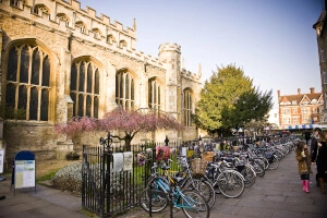 スタッフォードハウス・ケンブリッジでアクティビティ