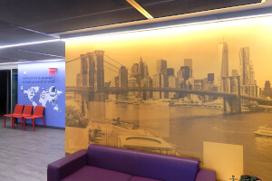 ニューヨークが特徴的