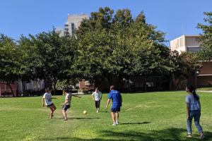 大学内でアクティビティ