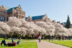 ワシントン大学のキャンパス