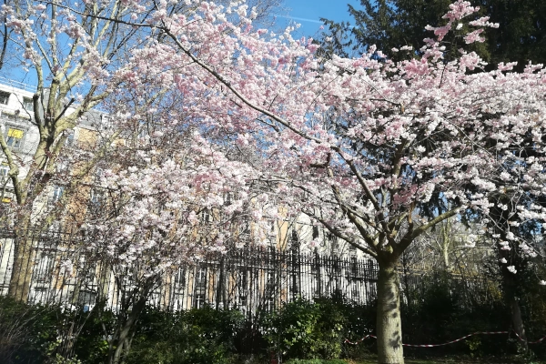 パリの春