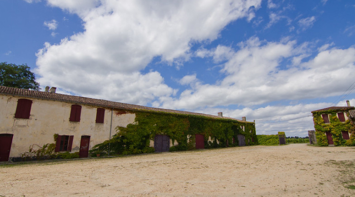 一歩を踏み出し新しい発見と驚きの連続で心地よいフランスへの留学