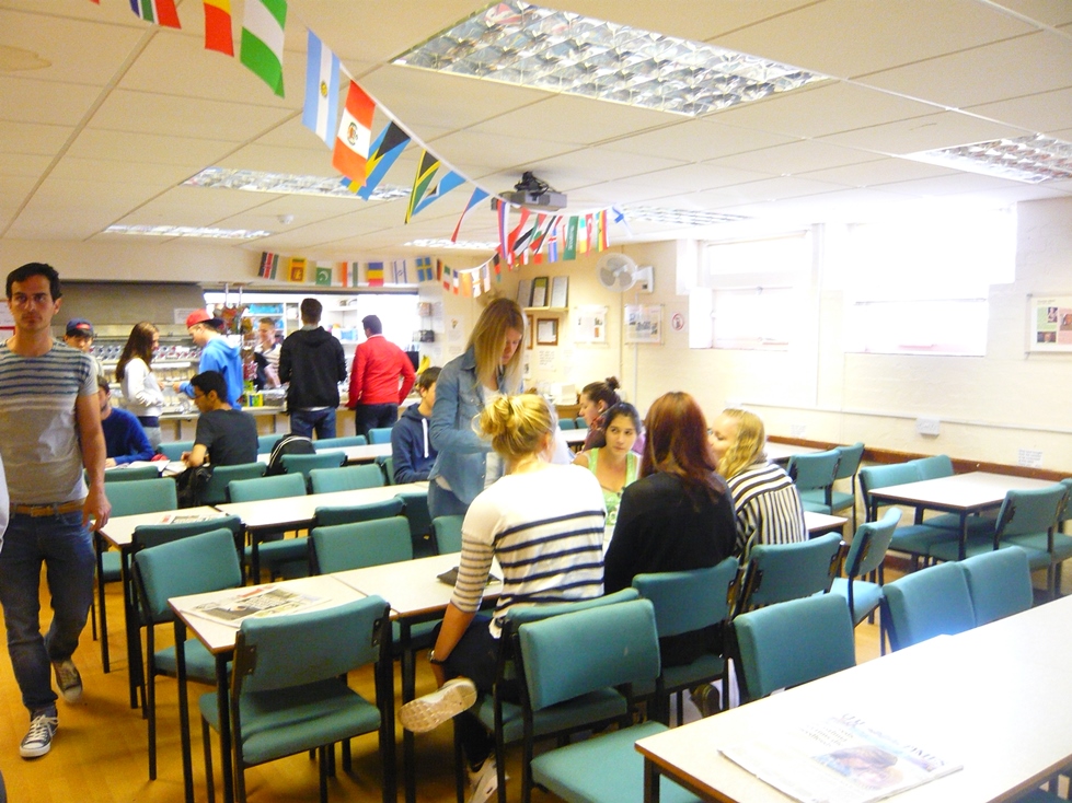 beet language centre cafeteria 2