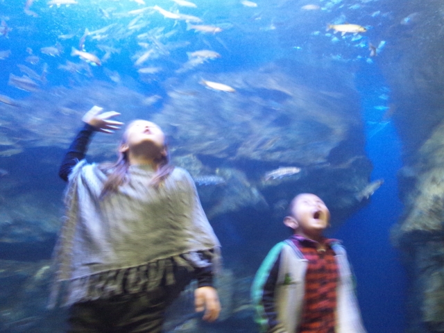 水族館