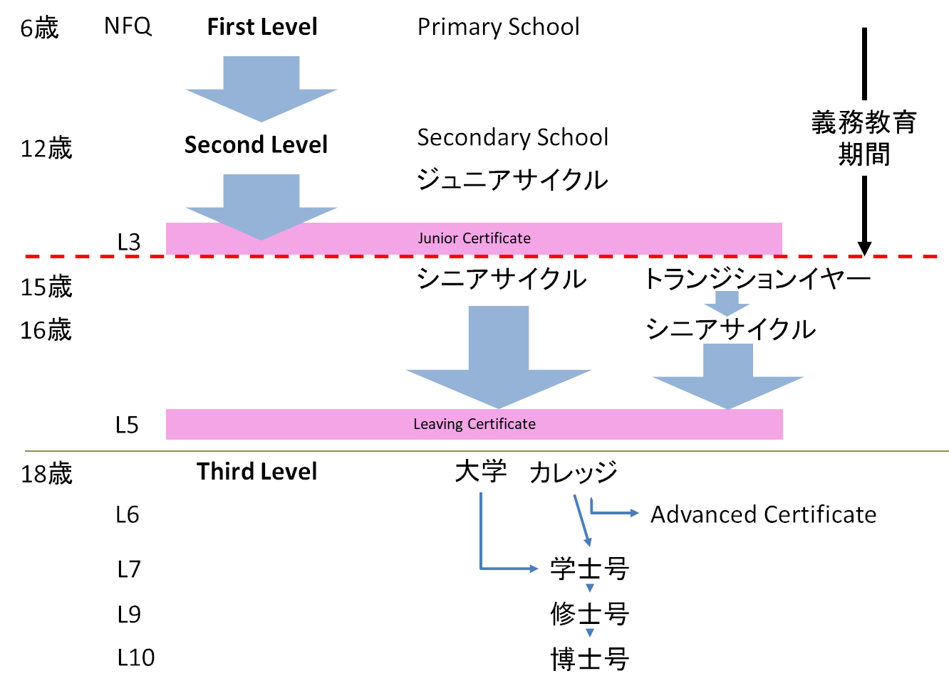 アイルランド教育制度図表