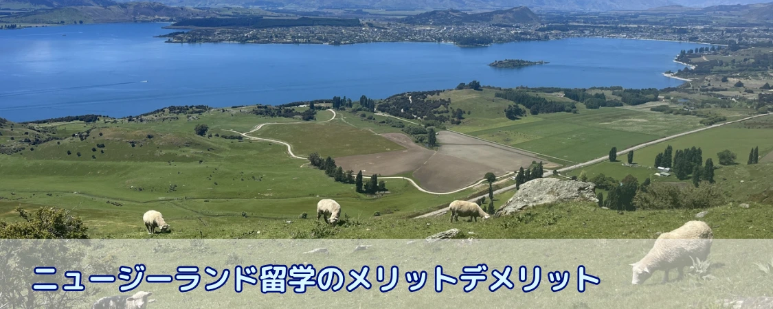 【2026年最新】ニュージーランド留学のメリット・デメリット完全ガイド｜向いている人も解説 | 完全無料留学エージェント