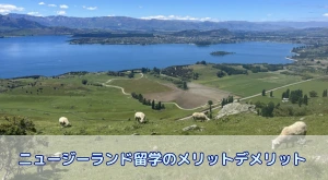ニュージーランド留学のメリット・デメリット完全ガイド｜向いている人も解説
