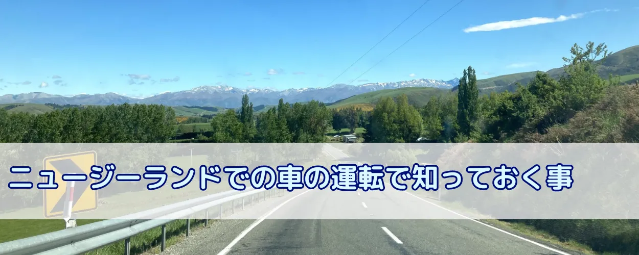 ニュージーランドで車の運転をするには？ルールや速度制限、保険についてもご紹介